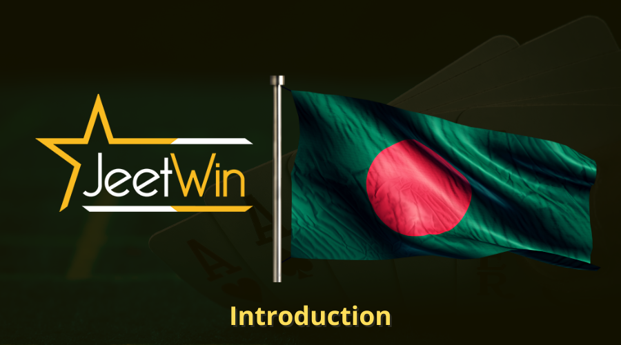 JeeTwin এর ইমেইলে স্বয়ংক্রিয় উত্তর কি দেওয়া হচ্ছে?